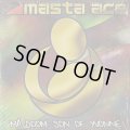 Masta Ace / MA_DOOM: Son Of Yvonne