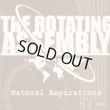 The Rotating Assembly ‎/ Natural Aspirations -The 12inch Series Pt.2-