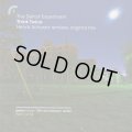 The Detroit Experiment / Think Twice (Henrik Schwarz Remixes, Original Mix)