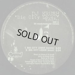 画像2: DJ Krush / Big City Lover Remixes