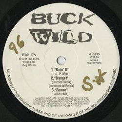 画像1: Various ‎/ Buck Wild