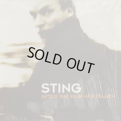 画像1: Sting ‎/ After The Rain Has Fallen