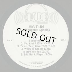 画像3: Big Pun / Endangered Species (2LP)