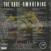 画像2: Cocoa Brovaz / The Rude Awakening (2LP) (2)