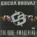 画像1: Cocoa Brovaz / The Rude Awakening (2LP) (1)