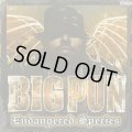 Big Pun / Endangered Species (2LP)