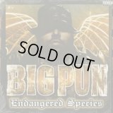 Big Pun / Endangered Species (2LP)