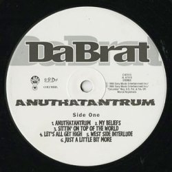 画像3: Da Brat /  Anuthatantrum (LP)