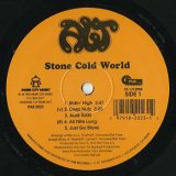 ALT / Stone Cold World