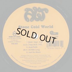 画像1: ALT / Stone Cold World