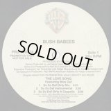 Bush Babees / The Love Song (So So Def Mix)