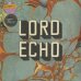 画像1: Lord Echo ‎/ Harmonies (2LP DJ Friendly Edition) (1)