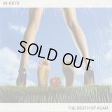 88-Keys / The Death Of Adam