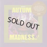 DJ KIYO / Autumn Madness 2 (Mix CD)