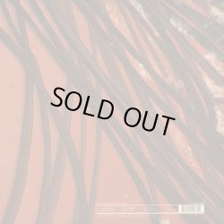 画像2: Recloose / Cardiology