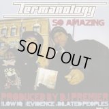 Termanology / So Amazing c/w Low IQ