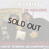 Termanology / So Amazing c/w Low IQ