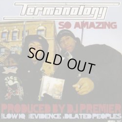 画像1: Termanology / So Amazing c/w Low IQ