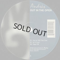 画像1: Andres / Out In The Open