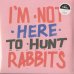 画像1: V.A. / I'm Not Here To Hunt Rabbits - Guitar & Folk Styles From Botswana (1)