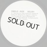 Dwele / Rize