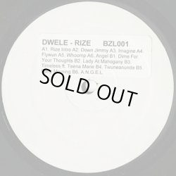 画像1: Dwele / Rize