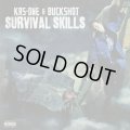 KRS-One & Buckshot / Survival Skills