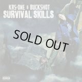 KRS-One & Buckshot / Survival Skills