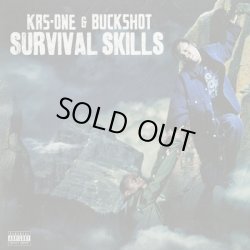 画像1: KRS-One & Buckshot / Survival Skills