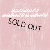 V.A. / Ultimate Breaks & Beats (SBR 504)