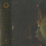 Thundercat / It Is What It Is (Gatefold Jacket / Clear Vinyl)