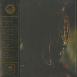 画像1: Thundercat / It Is What It Is (Gatefold Jacket / Clear Vinyl)