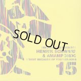 Henrik Schwarz & Amampondo / I Exist Because Of You Versions