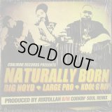 Big Noyd, Large Professor, Kool G Rap / Naturally Born