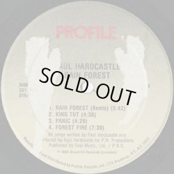 画像3: Paul Hardcastle / Rain Forest