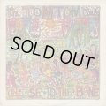 Tom Tom Club / Close To The Bone