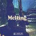 画像1: DJ KIYO / MELTING 4 (Mix CD) (1)