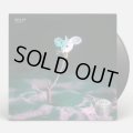 V.A. / Twig EP