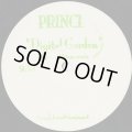 Prince / Digital Garden (Adam Goldstone Remix)