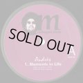 Andres / Moments In Life