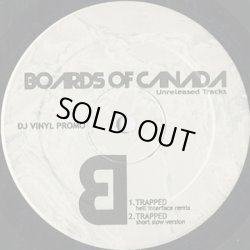 画像2: Boards Of Canada / Unreleased Tracks