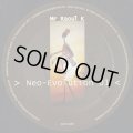 Mr Raoul K / Neo-Evolution 01