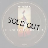 Mr Raoul K / Neo-Evolution 01