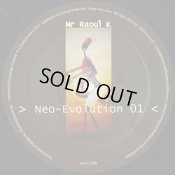 画像1: Mr Raoul K / Neo-Evolution 01