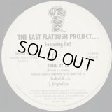 The East Flatbush Project / Tried By 12