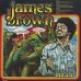 画像2: James Brown / Hell (2)