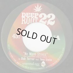 画像1: Dub Terror Feat. Tena Stelin / No More Stress (7inch)