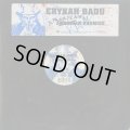 Erykah Badu / Amerykahn Promise (12inch)