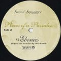 Theo Parrish / Pieces Of A Paradox (12inch)