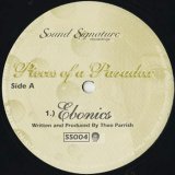 Theo Parrish / Pieces Of A Paradox (12inch)